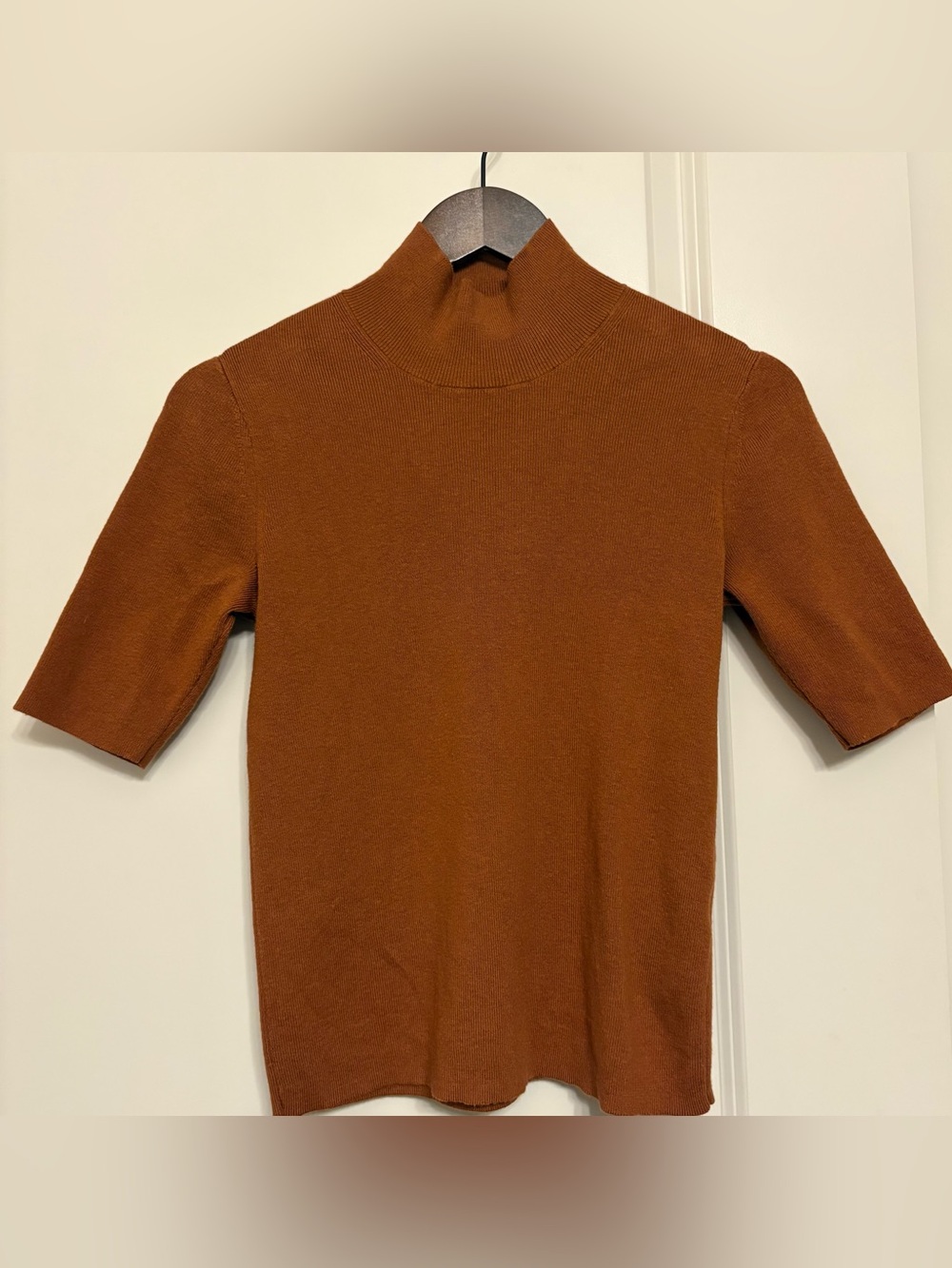 Banana Republic Short Sleeve Turtleneck Sweater